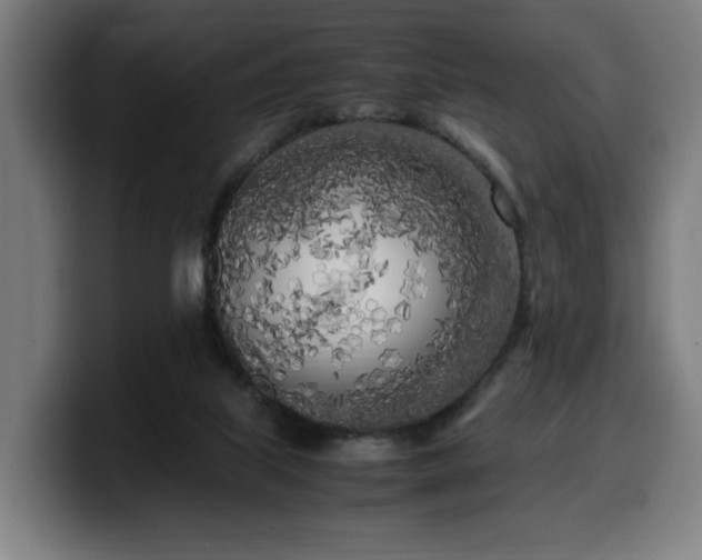 X0000099930067200805301206