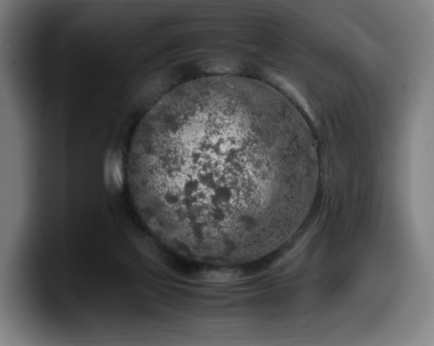 X0000099930069200805301206