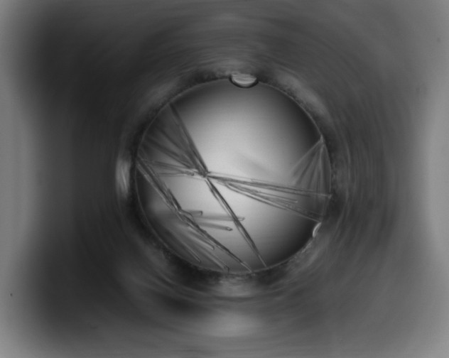 X0000099930070200805301206