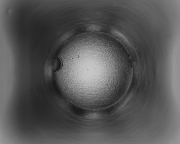 X0000099930071200805301206