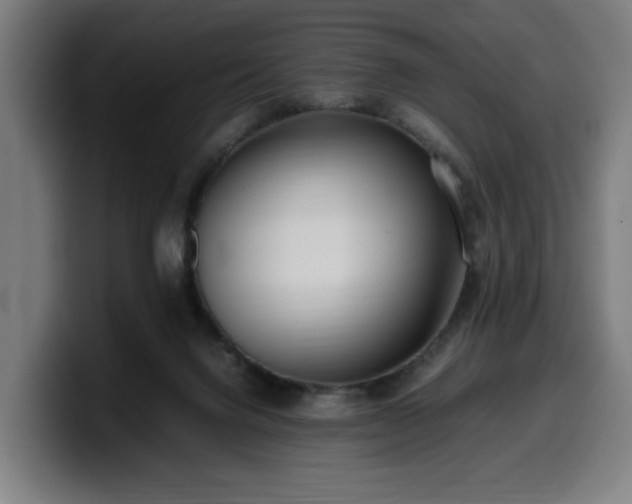 X0000099930072200805301206