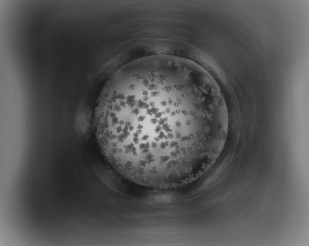 X0000099930073200805301206