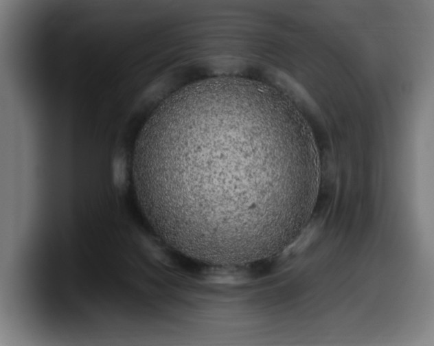 X0000099930074200805301206