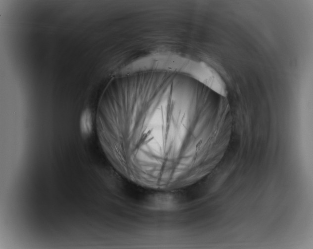 X0000099930075200805301206