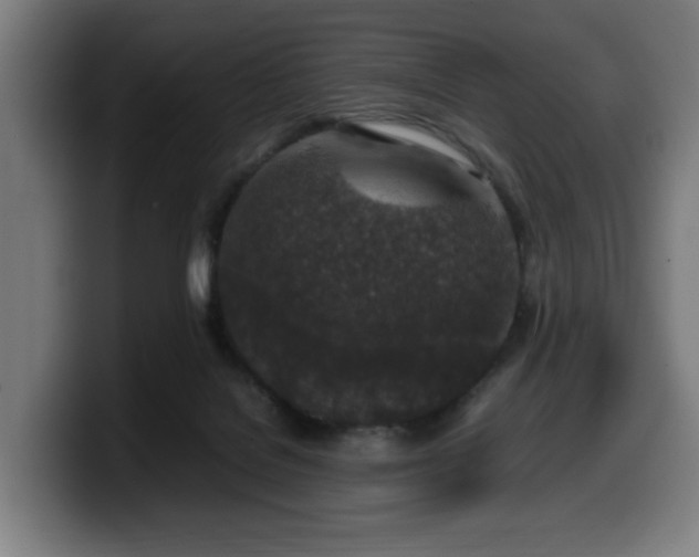 X0000099930076200805301206