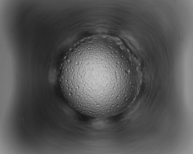 X0000099930077200805301206