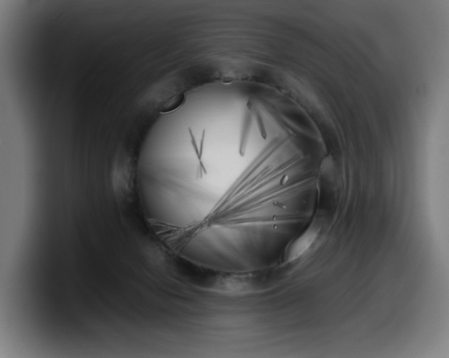 X0000099930078200805301206