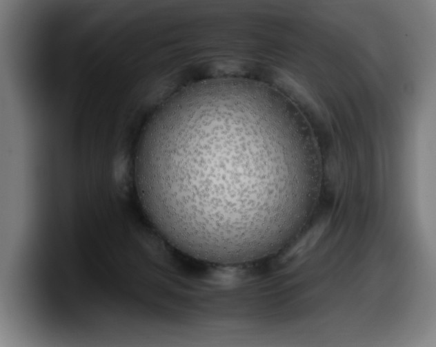 X0000099930079200805301206