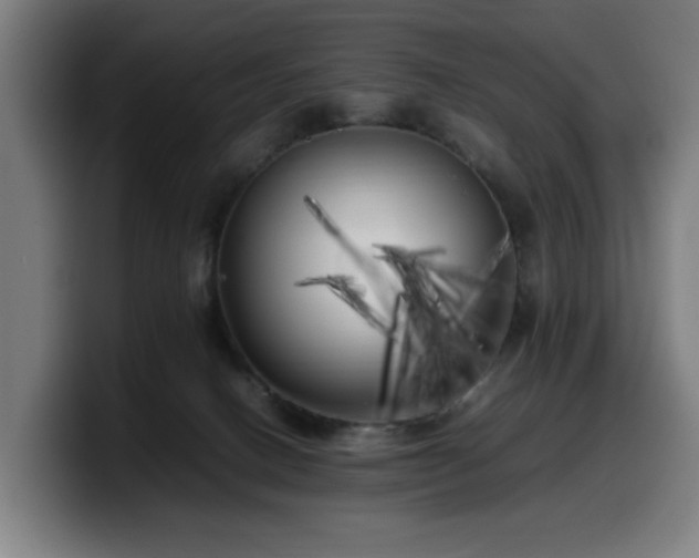 X0000099930082200805301206