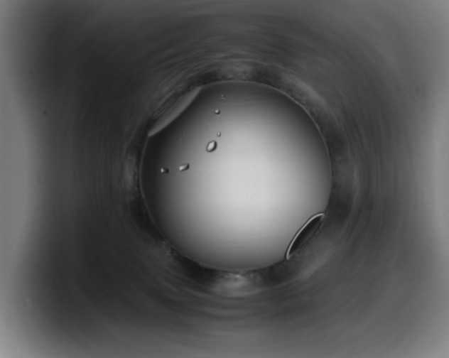 X0000099930083200805301206