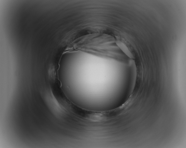 X0000099930086200805301206