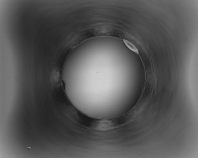 X0000099930087200805301206