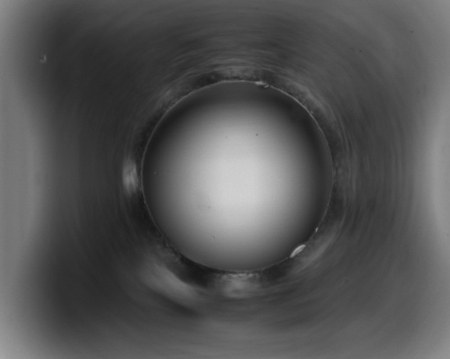 X0000099930089200805301206