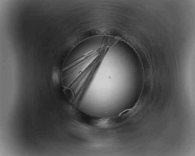 X0000099930090200805301206