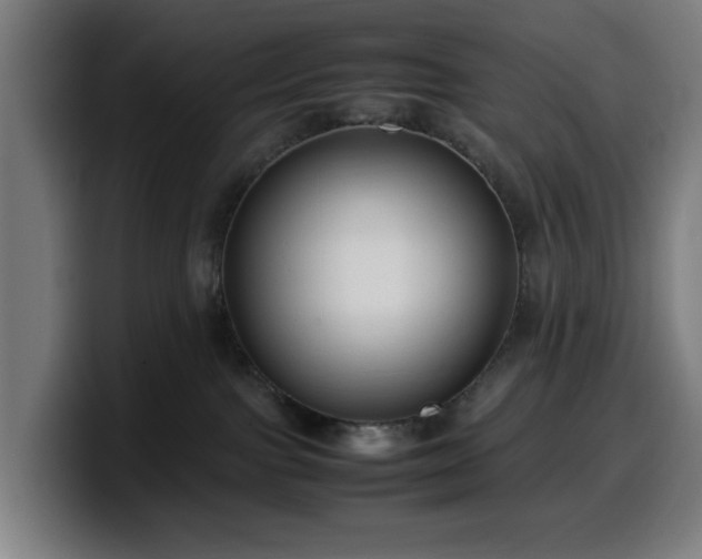 X0000099930091200805301206