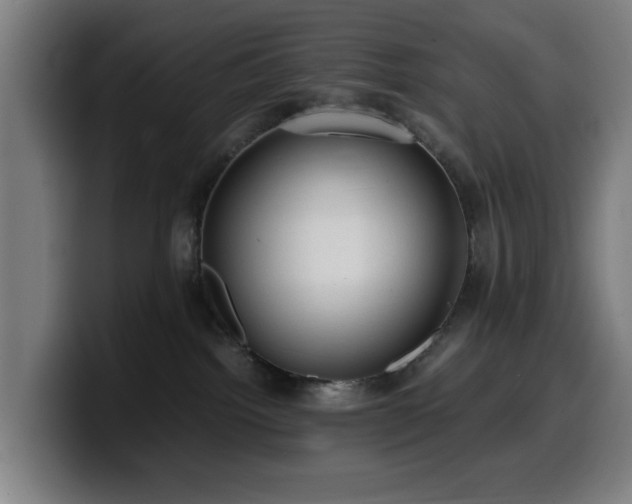 X0000099930092200805301206