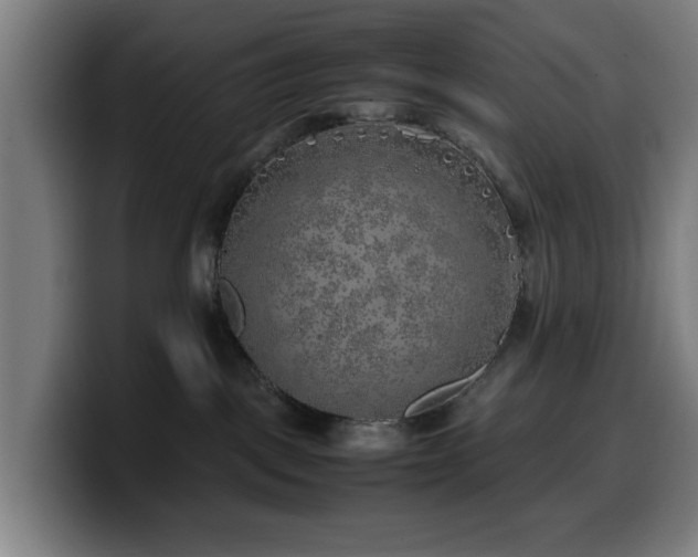 X0000099930093200805301206