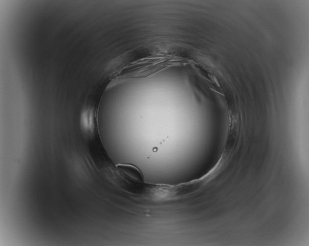 X0000099930094200805301206