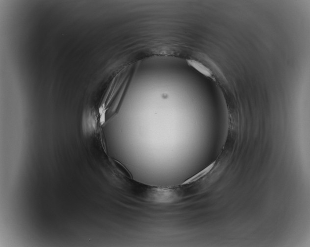 X0000099930095200805301206