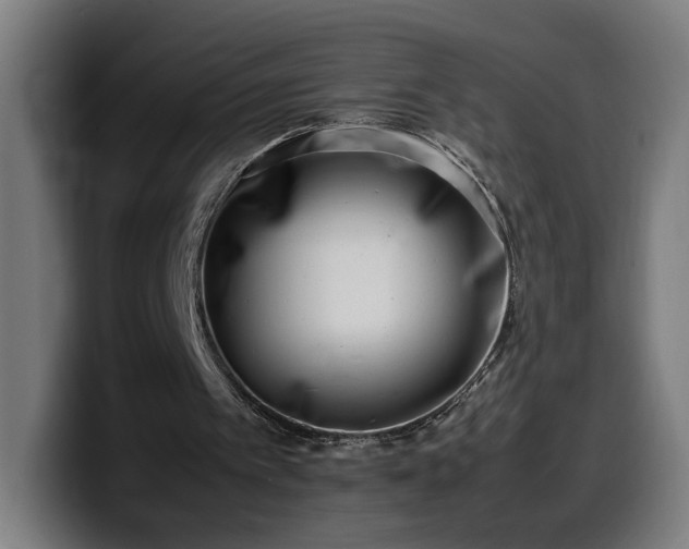 X0000099930097200805301206