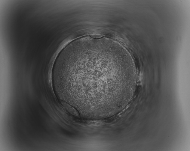 X0000099930099200805301206