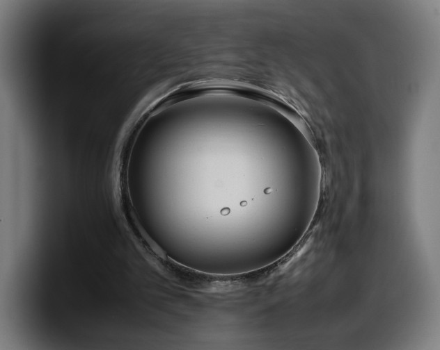 X0000099930101200805301206