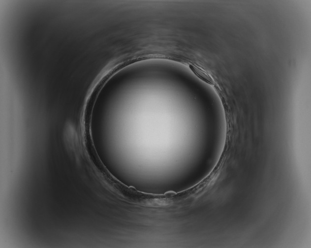 X0000099930102200805301206