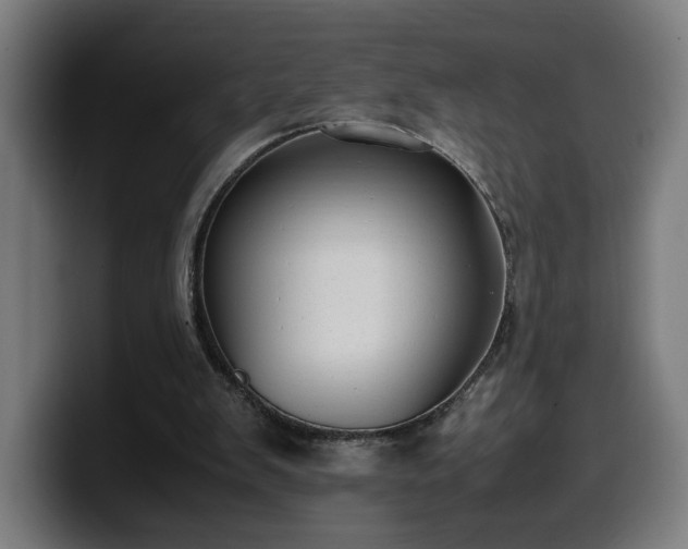 X0000099930103200805301206