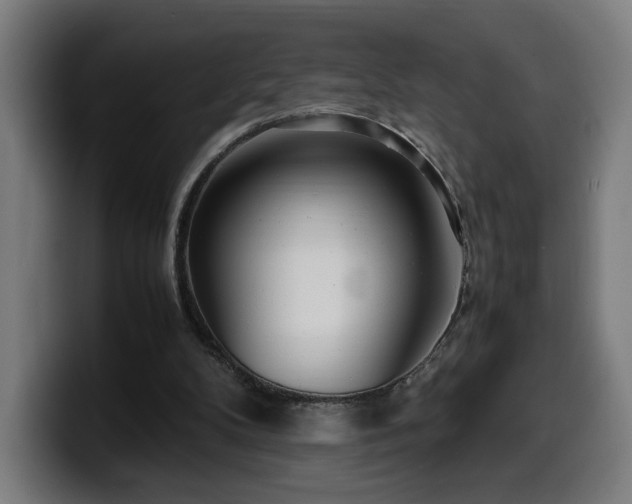 X0000099930104200805301206