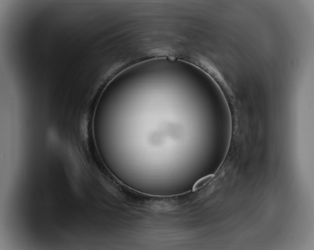 X0000099930106200805301206