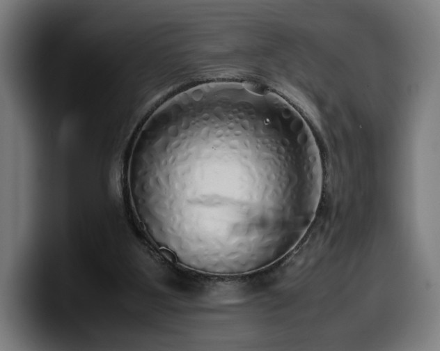 X0000099930107200805301206