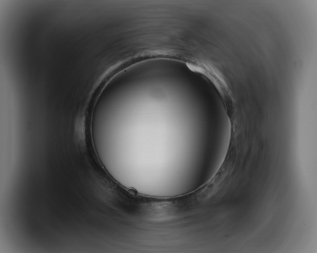 X0000099930108200805301206