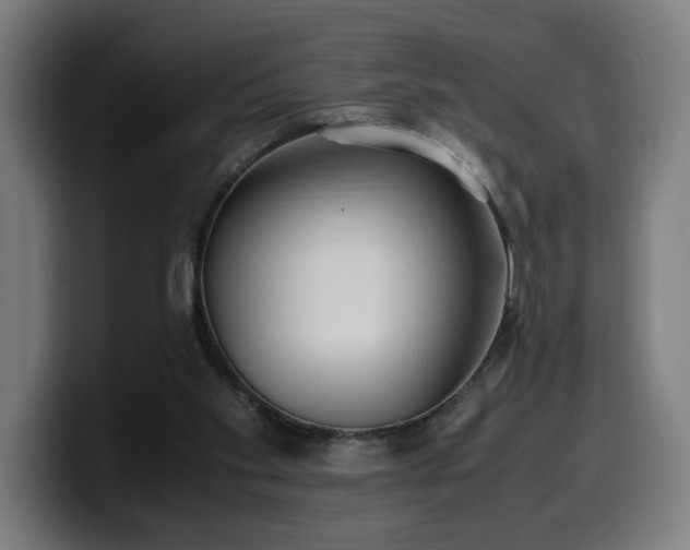 X0000099930109200805301206