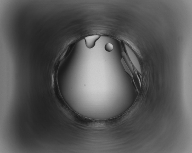 X0000099930110200805301206