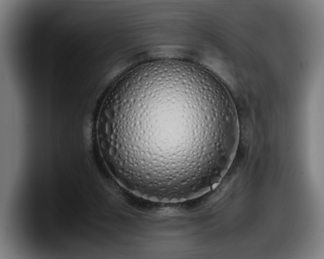 X0000099930111200805301206