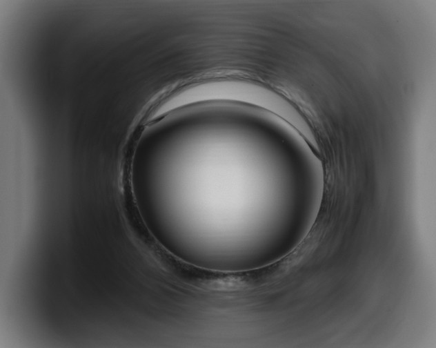 X0000099930112200805301205