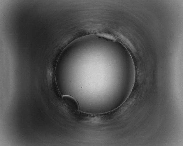 X0000099930113200805301205