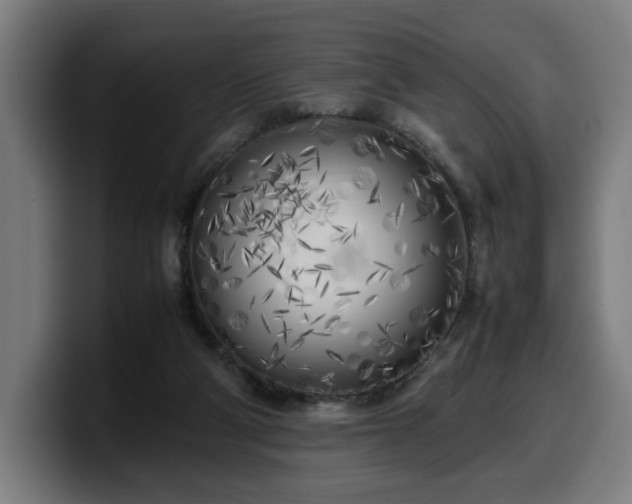 X0000099930114200805301205