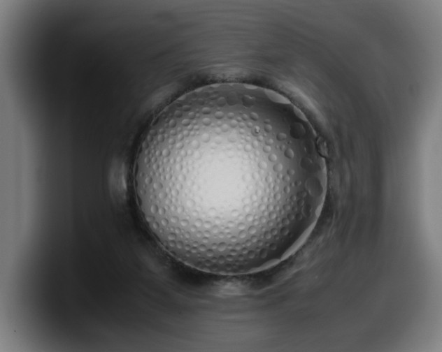 X0000099930115200805301205