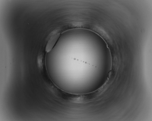 X0000099930116200805301205