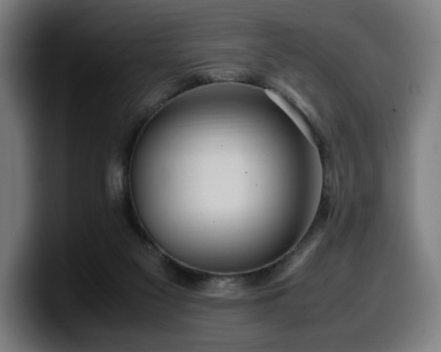 X0000099930117200805301205