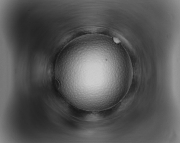 X0000099930119200805301205