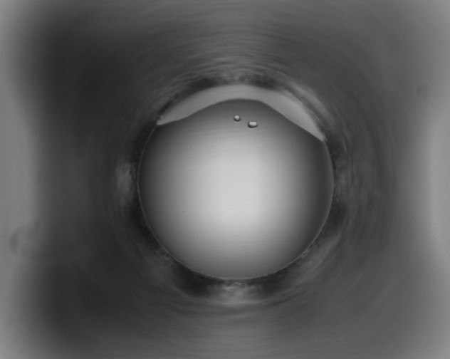 X0000099930121200805301205