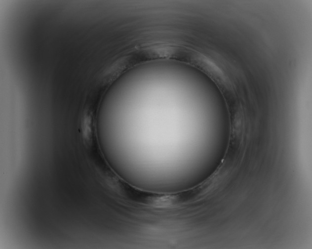 X0000099930122200805301205