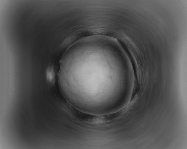 X0000099930124200805301205