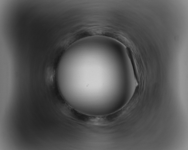 X0000099930125200805301205