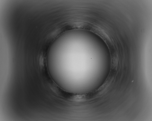 X0000099930126200805301205