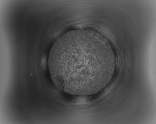 X0000099930127200805301205