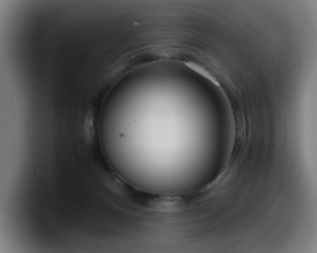 X0000099930128200805301205