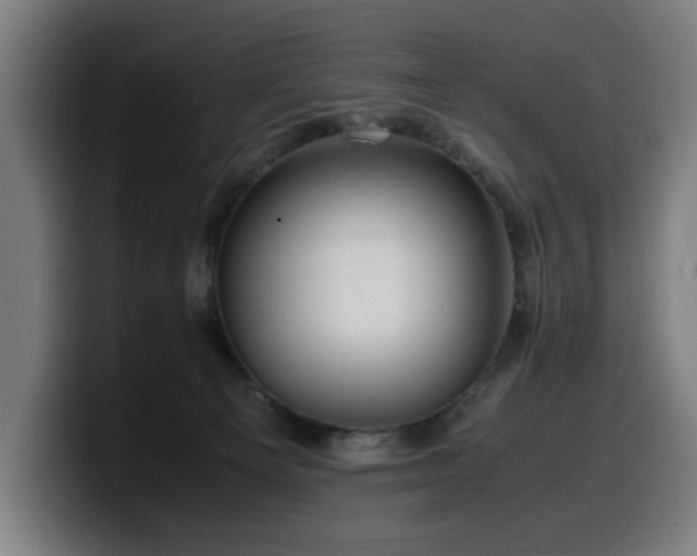 X0000099930129200805301205